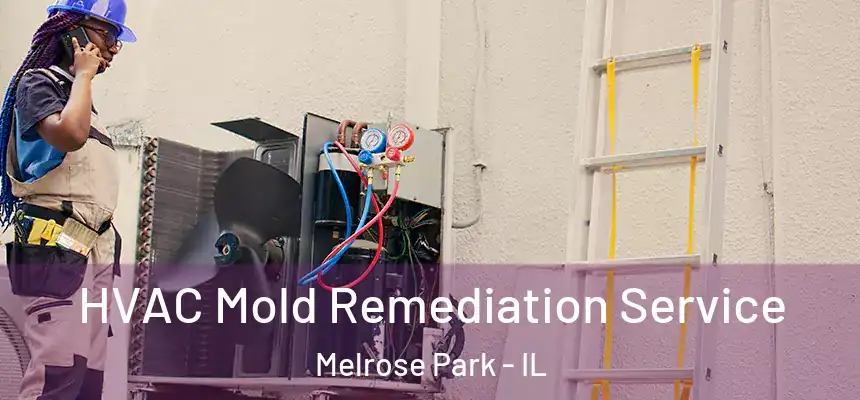  HVAC Mold Remediation Service Melrose Park - IL