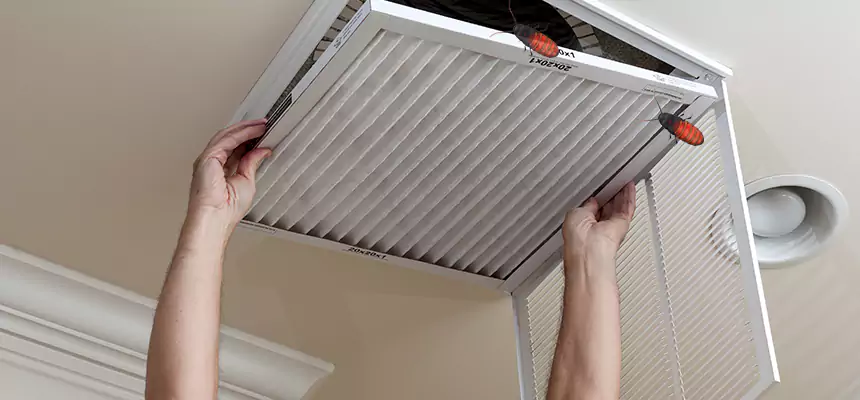 Preventive Cockroach-Proofing for Ducts in Melrose Park