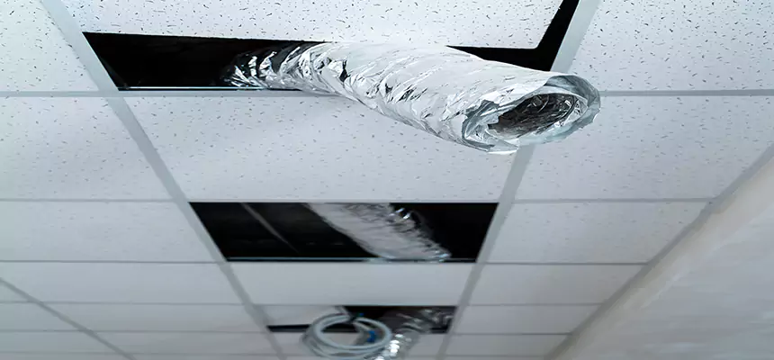 Affordable HVAC Sanitizing After Pest Removal in Melrose Park