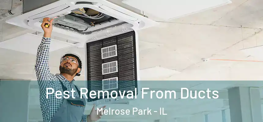  Pest Removal From Ducts Melrose Park - IL