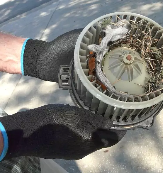 About Air Duct Mice Removal in Melrose Park, IL