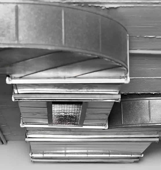 Professional Air Duct Pest Removal in Melrose Park, IL