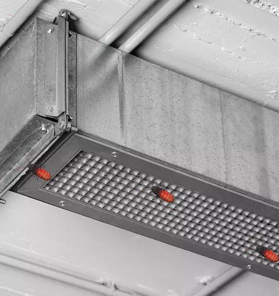 Affordable Insect Removal from Air Ducts in Melrose Park, IL