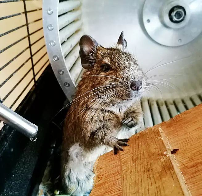 Why Homeowners & Businesses Trust Us Melrose Park, IL